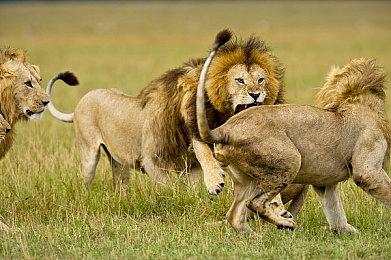 Sucker Punch解释《对马岛之鬼导剪版》付费升级原因